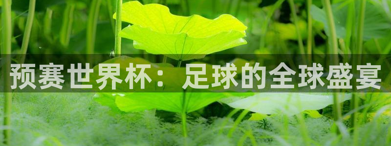 世界杯赛程表:预赛世界杯:足球的全球盛宴