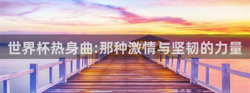 2026葡萄牙杯赛程表:世界杯热身曲:那种激情与坚韧的力量