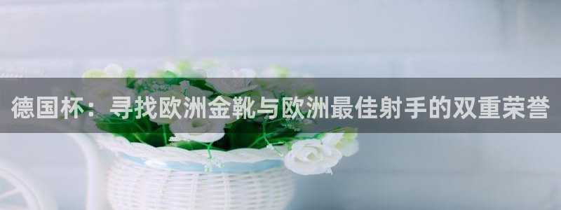 世界杯预选赛赛程表:德国杯:寻找欧洲金靴与欧洲最佳射手的双重荣誉