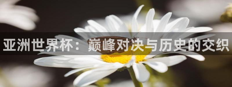 世界杯球队排名:亚洲世界杯:巅峰对决与历史的交织