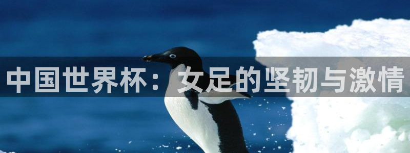 国际足联世界杯:中国世界杯:女足的坚韧与激情