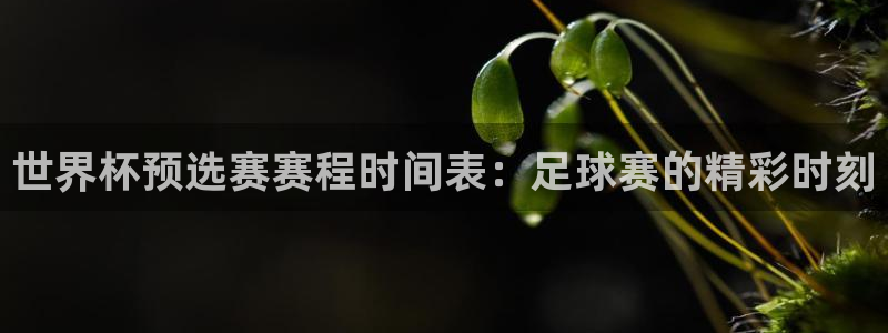 世界杯预选赛规则:世界杯预选赛赛程时间表:足球赛的精彩时刻
