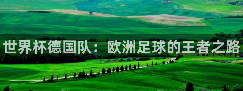世界杯亚洲区预选赛赛程表:世界杯德国队:欧洲足球的王者之路
